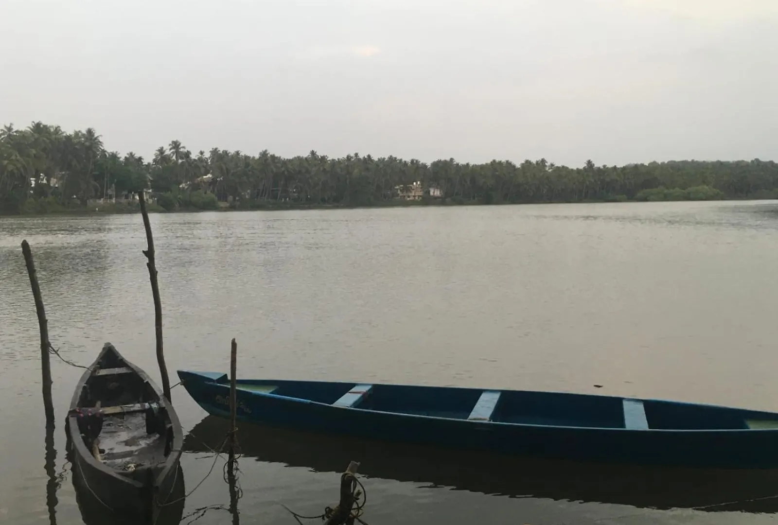 Peaceful Perch Lejlighed Calicut
