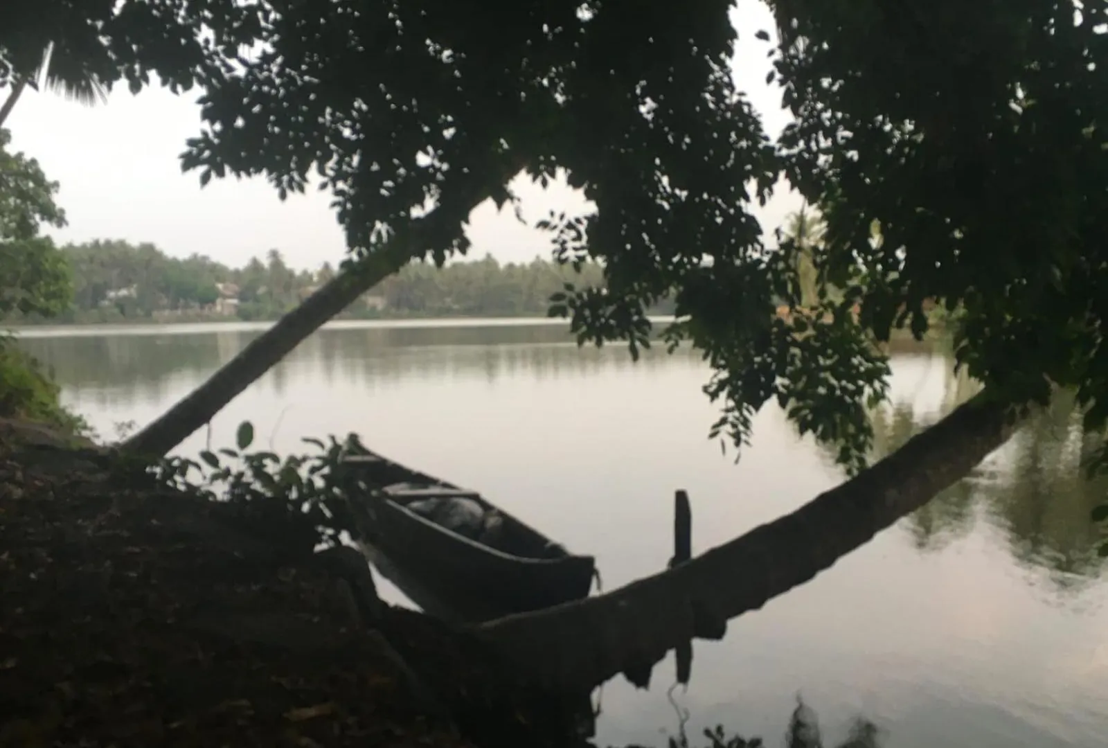 Peaceful Perch Lejlighed Calicut