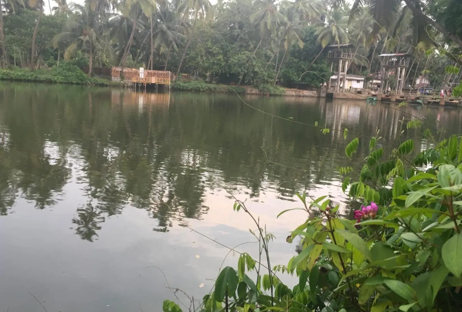 Peaceful Perch Lejlighed Calicut